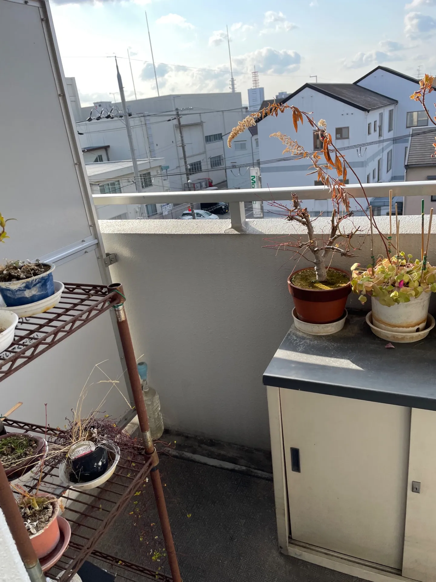 マンションにて遺品整理の事例(京都市南区))