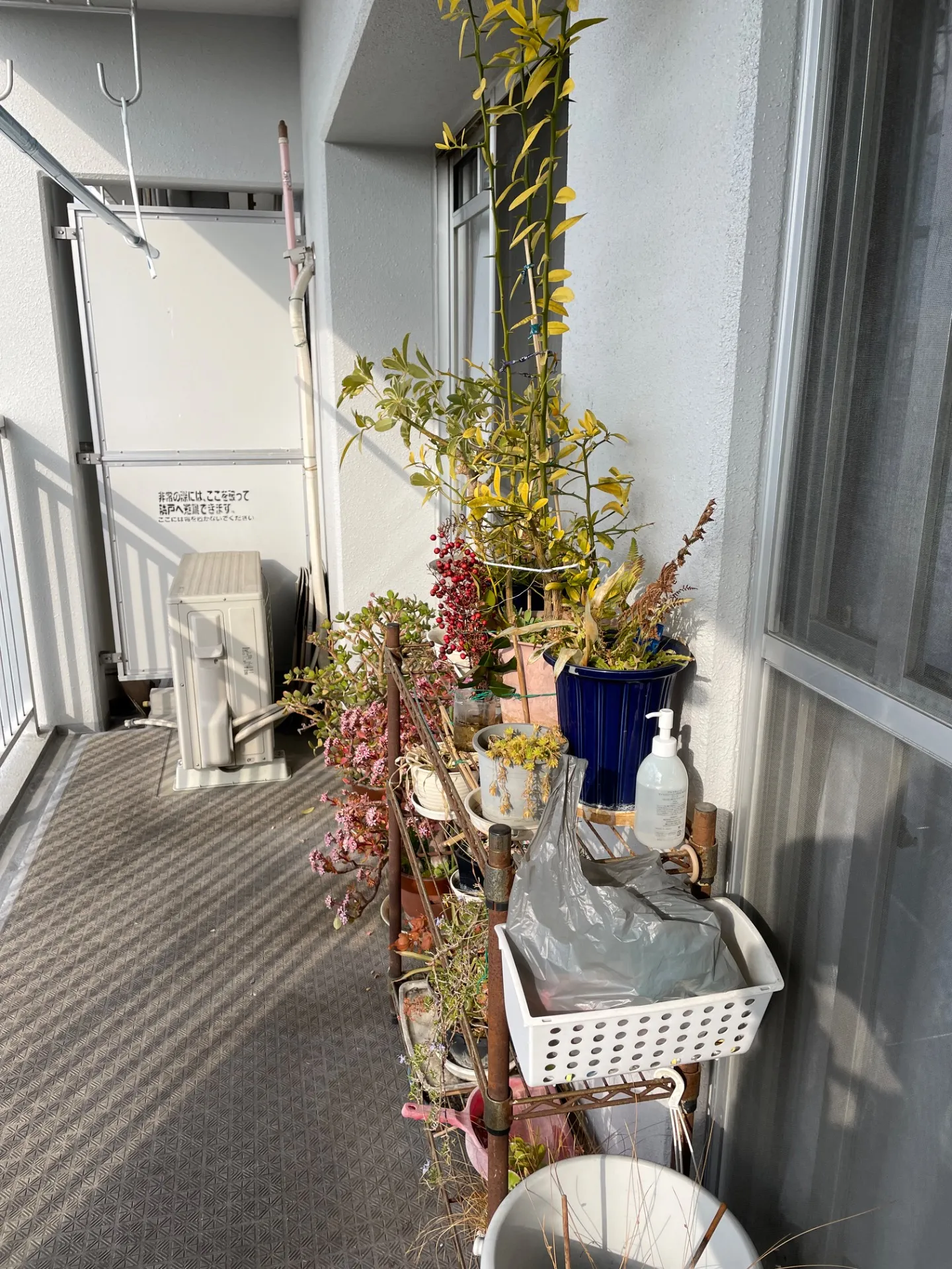 マンションにて遺品整理の事例(京都市南区))