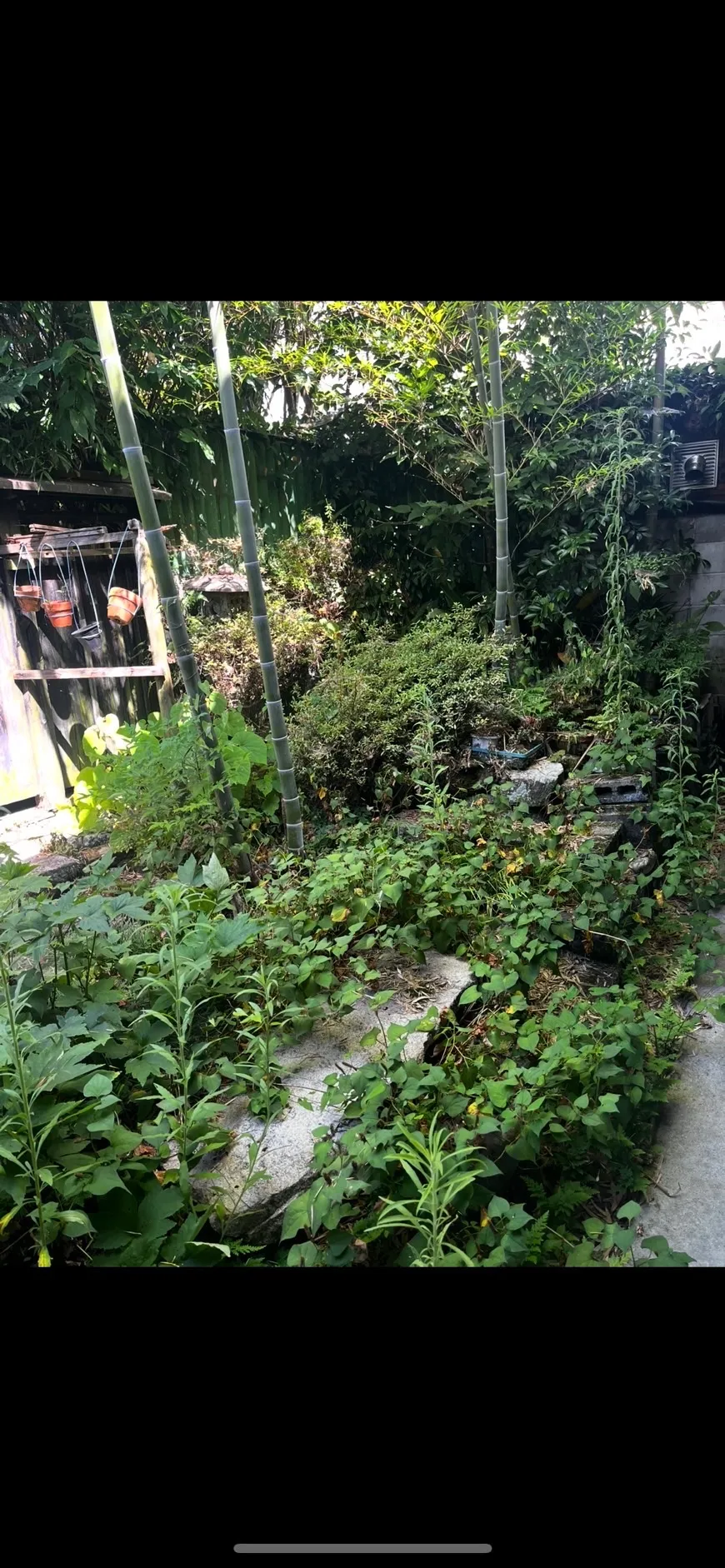 お庭のお手入れ草刈り事例(京都府亀岡市)