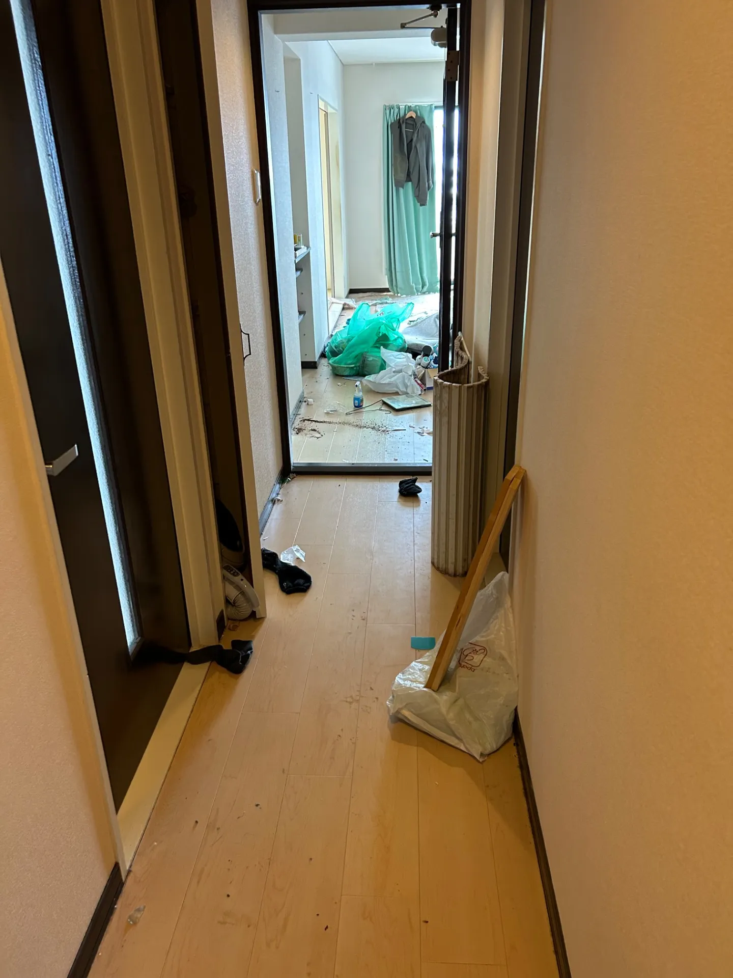 プチゴミ部屋清掃