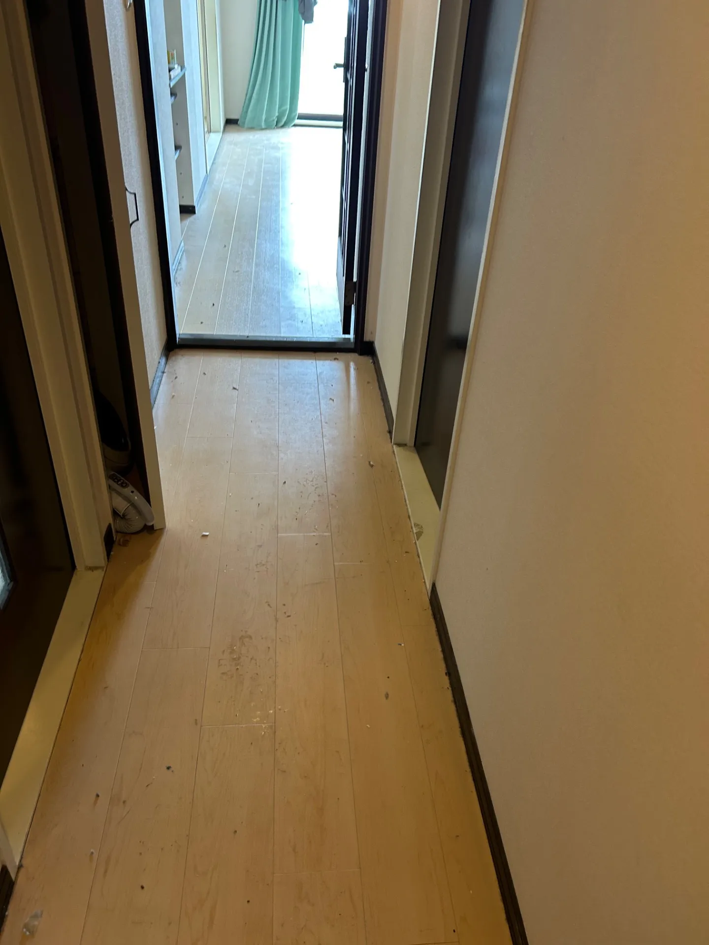 プチゴミ部屋清掃