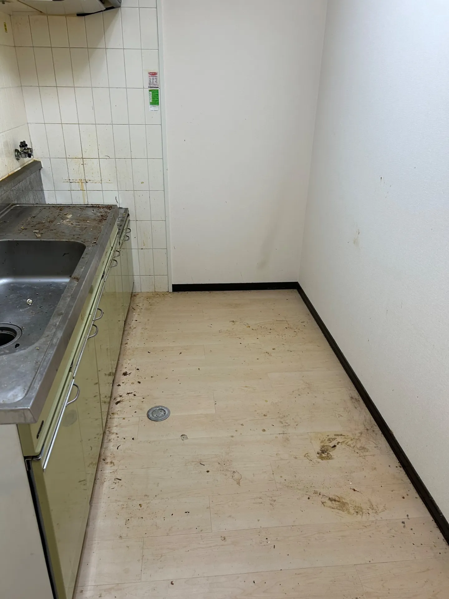 プチゴミ部屋清掃