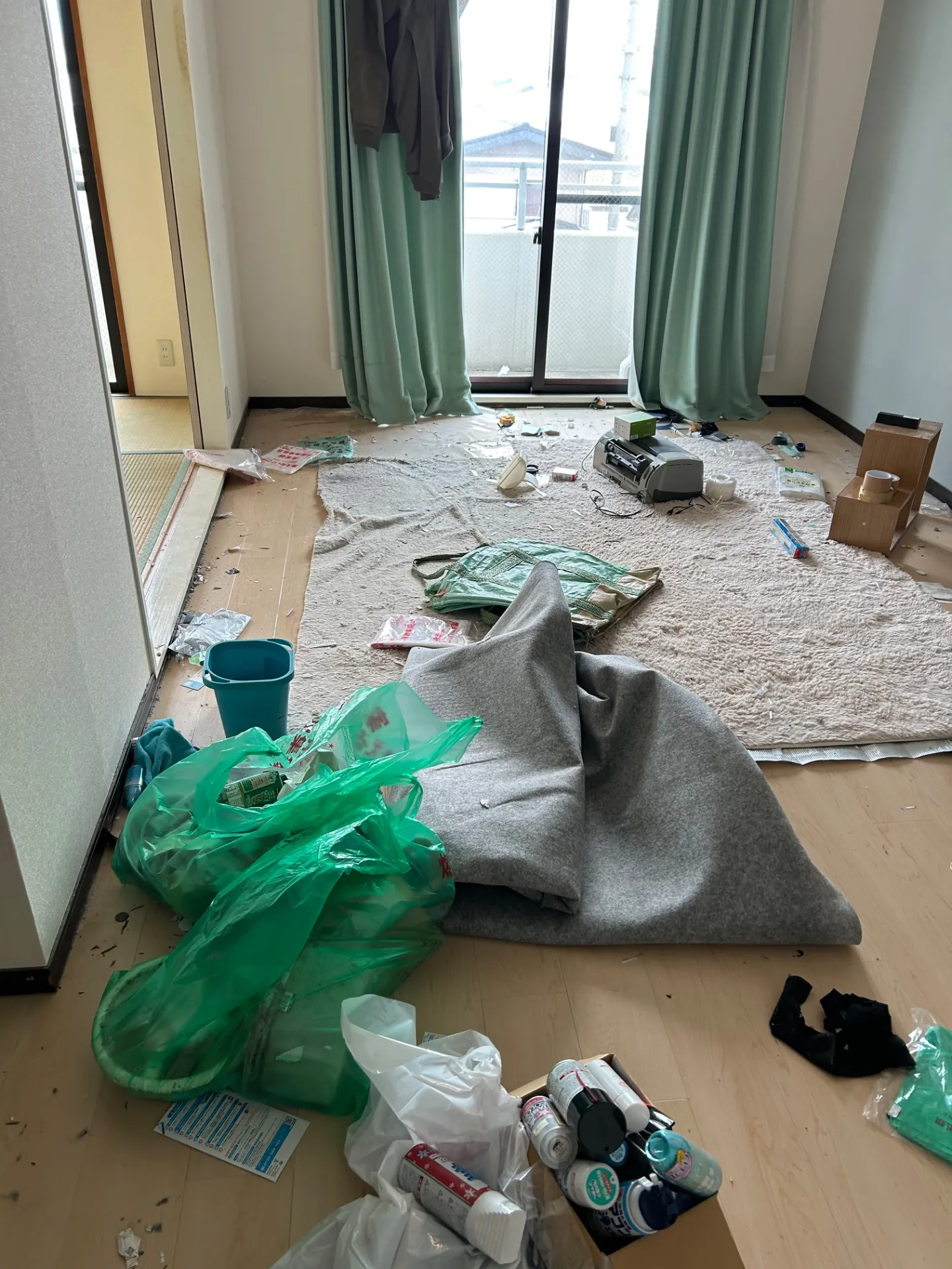 プチゴミ部屋清掃