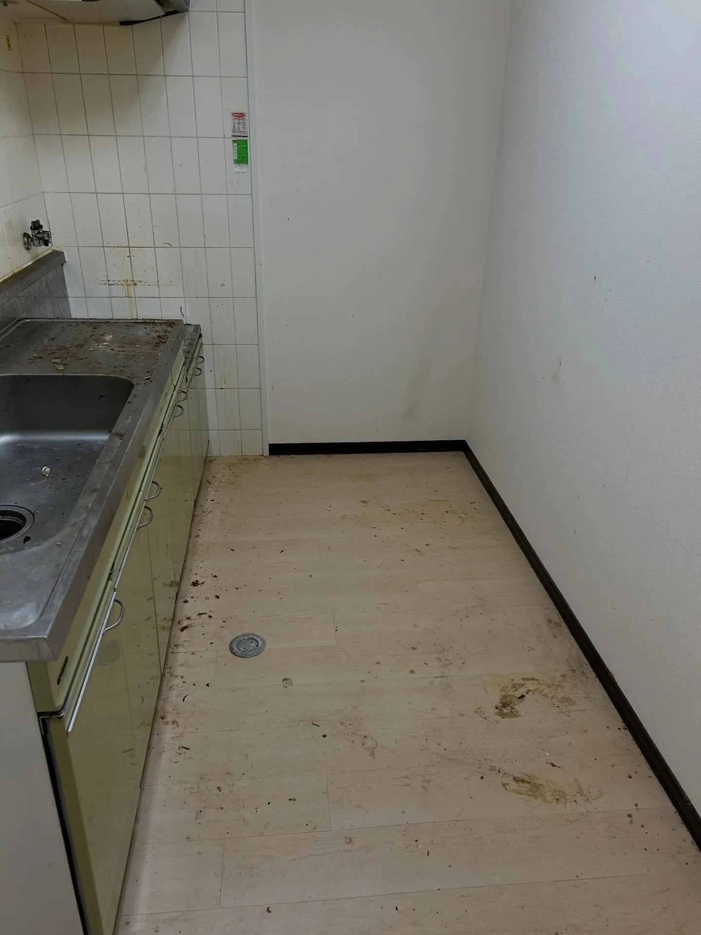 #プチゴミ部屋清掃