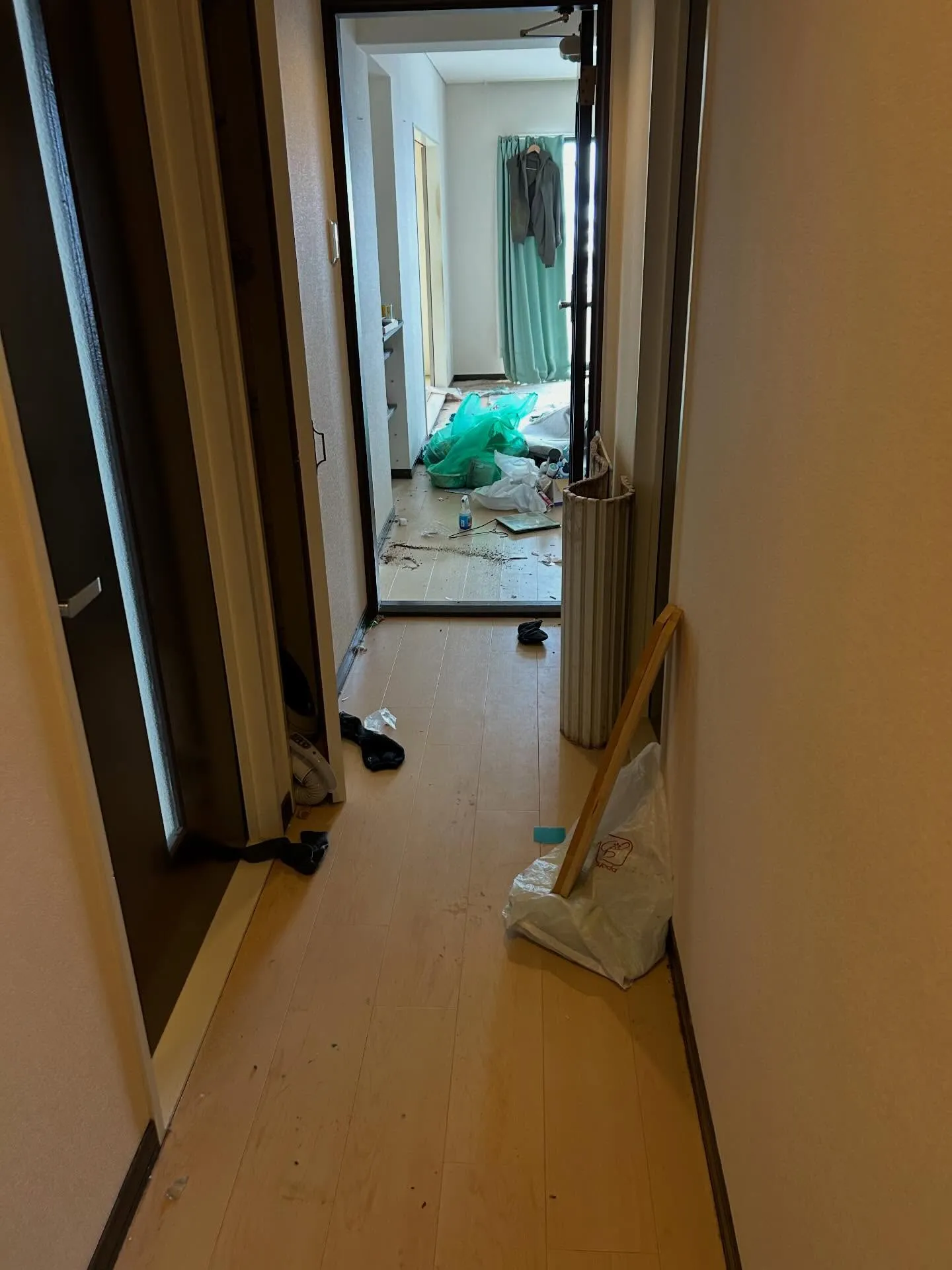 #プチゴミ部屋清掃