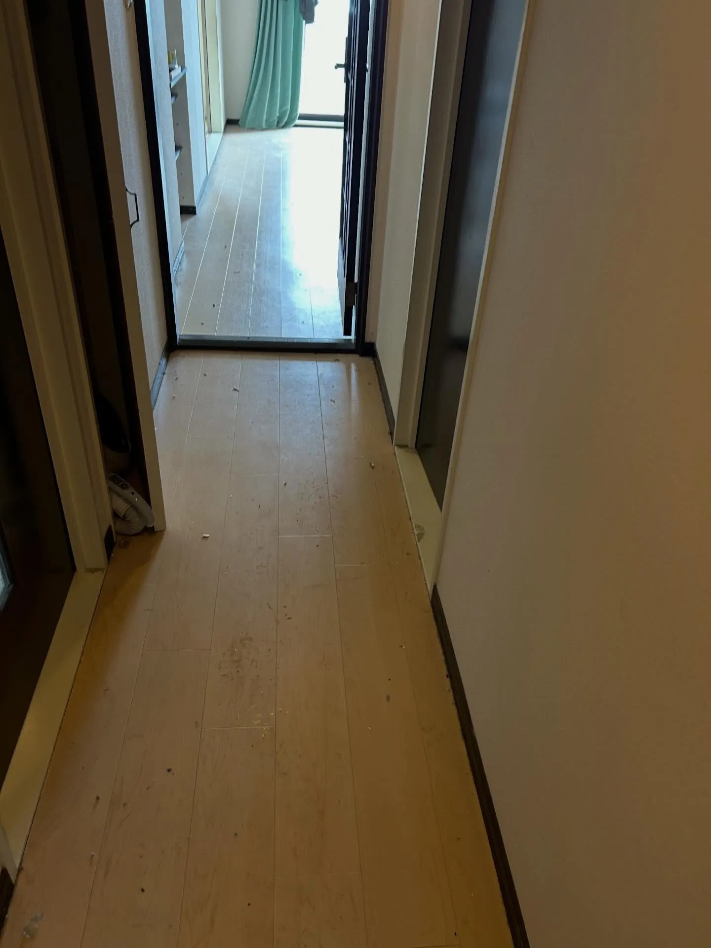 #プチゴミ部屋清掃